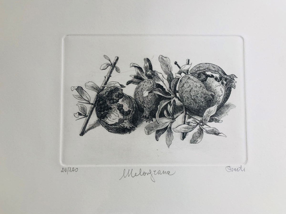 Original Botanical Etching - Pomegranites