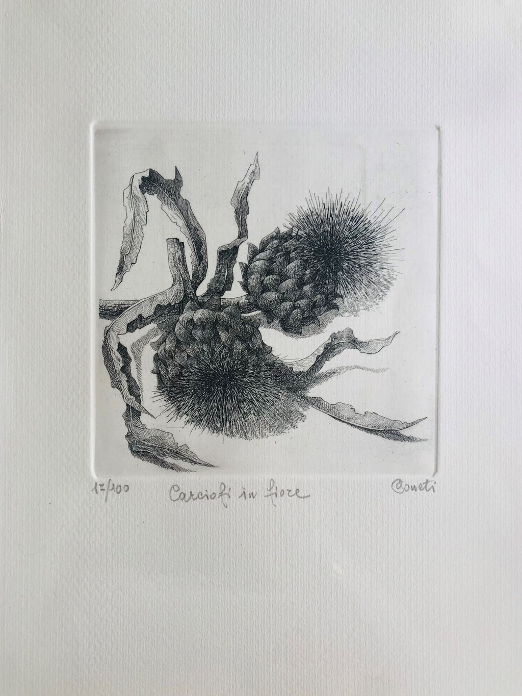 Original Botanical Etching - Artichockes