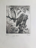 Original Botanical Etching - Owls in the Woods