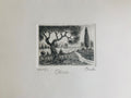 Original Tuscany Etching - Olive Tree