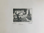Original Tuscany Etching - Olive Tree