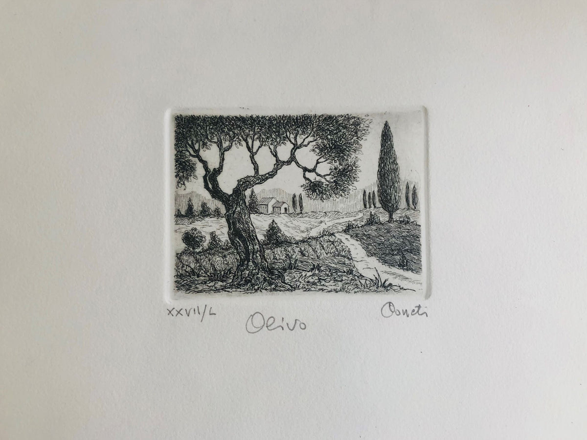 Original Tuscany Etching - Olive Tree