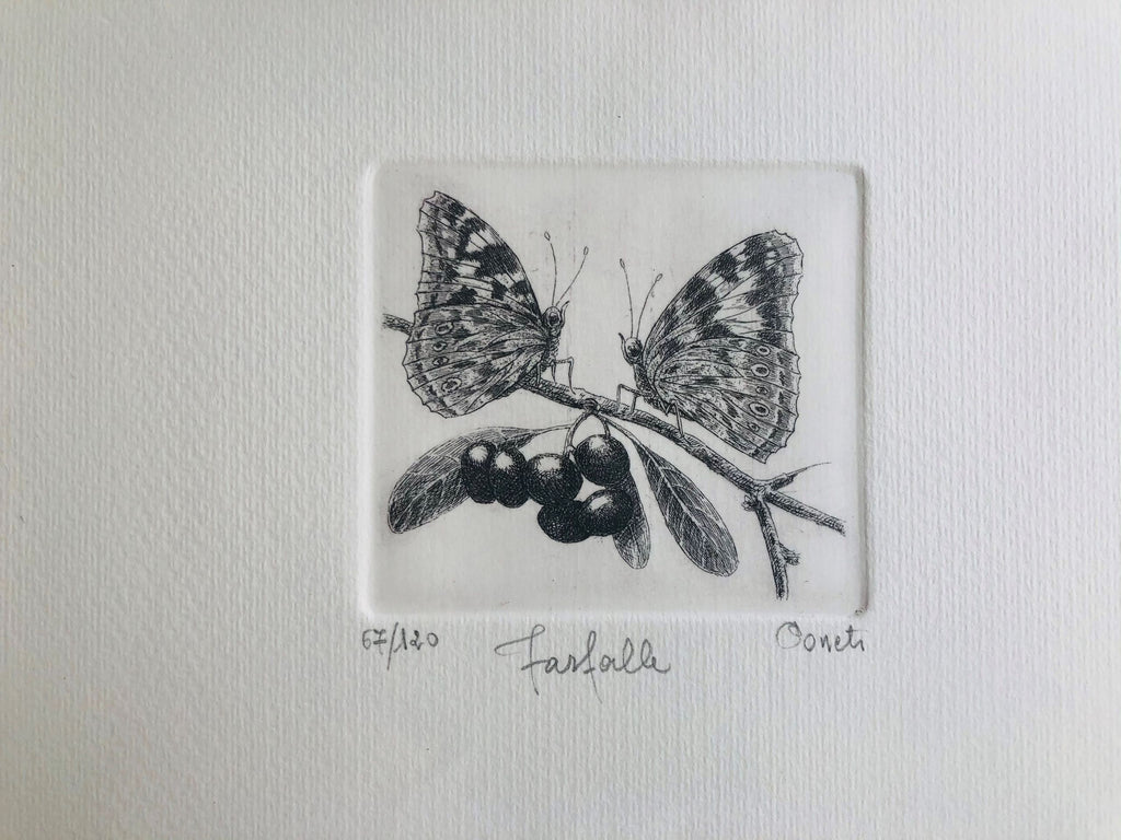 Original Botanical Etching - Butterfly