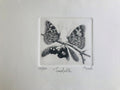 Original Botanical Etching - Butterfly