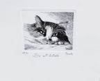 Original Italian Etching - Do not Disturb