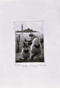 Original Italian Etching - Cats in Venice