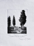 Original Tuscany Etching - Cypress Pines