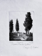Original Tuscany Etching - Cypress Pines
