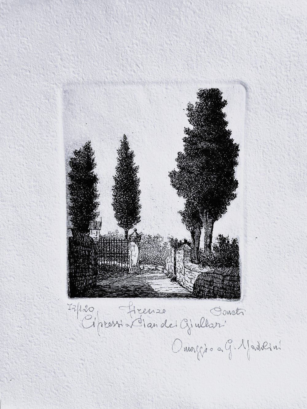 Original Tuscany Etching - Cypress Pines