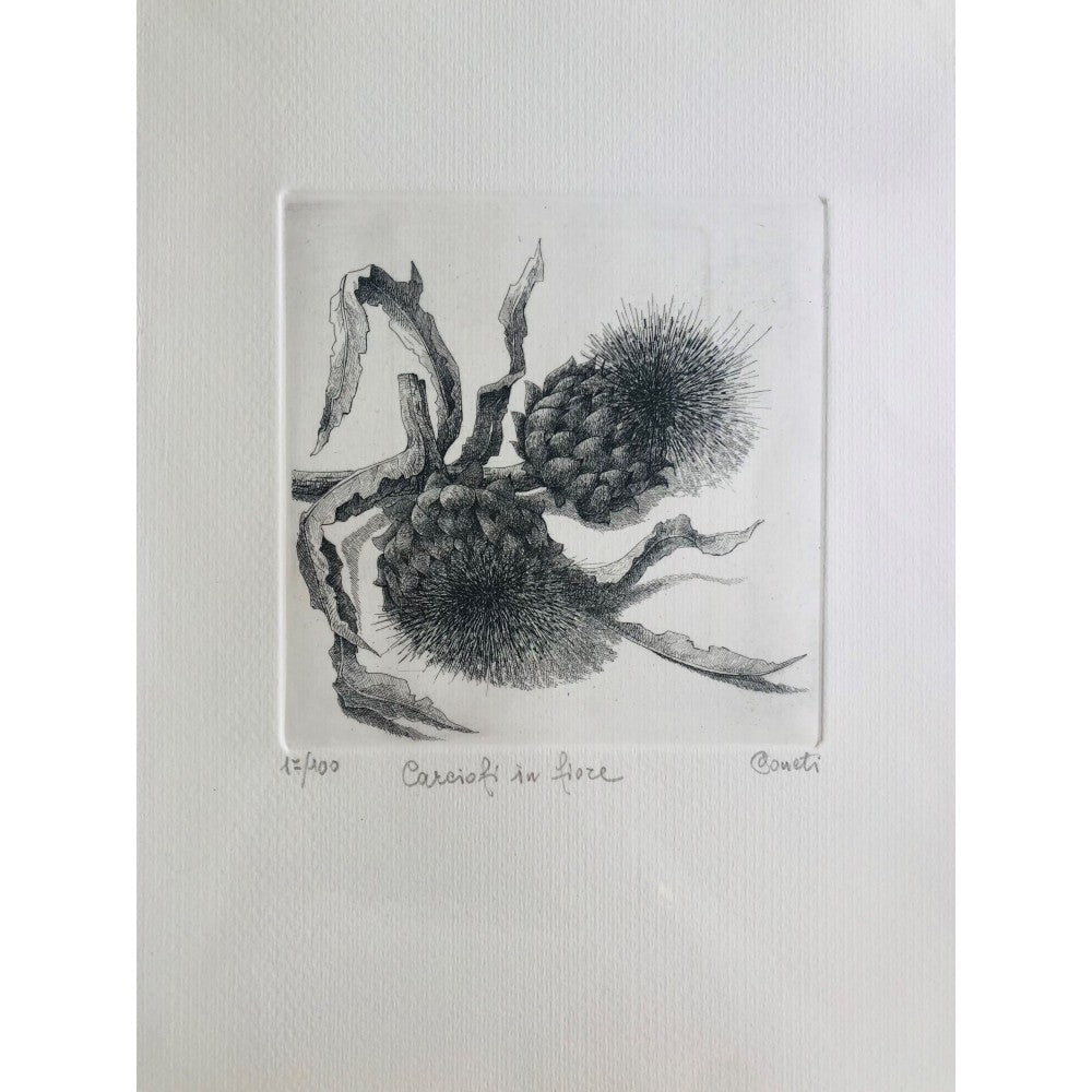 Original Botanical Etching - Artichockes