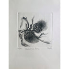 Original Botanical Etching - Artichockes