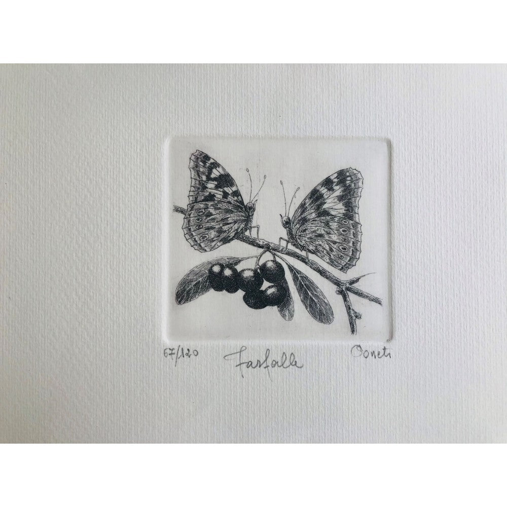 Original Botanical Etching - Butterfly