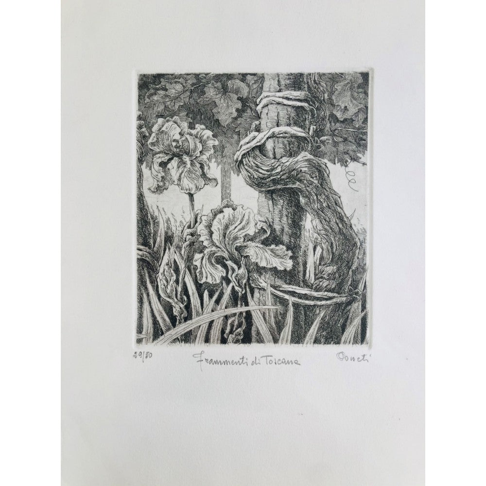 Original Botanical Etching - Fragments of Tuscany