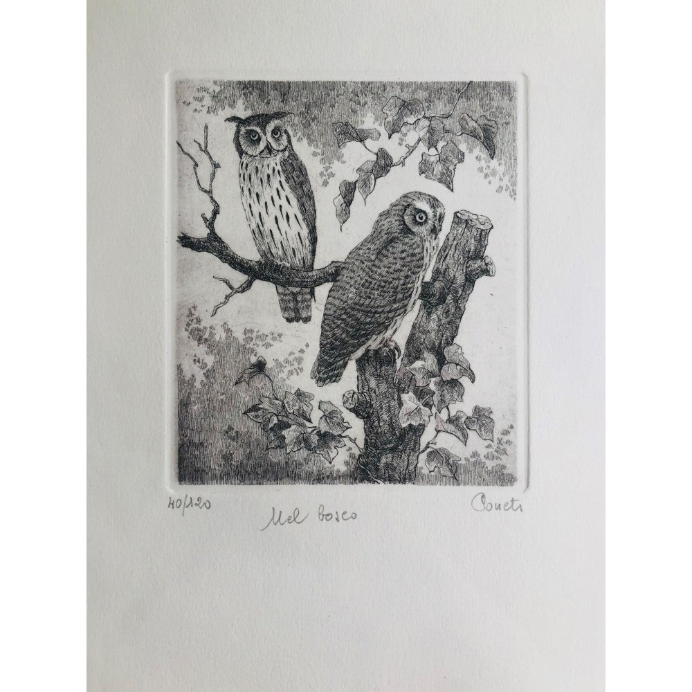 Original Botanical Etching - Owls in the Woods