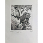 Original Botanical Etching - Owls in the Woods