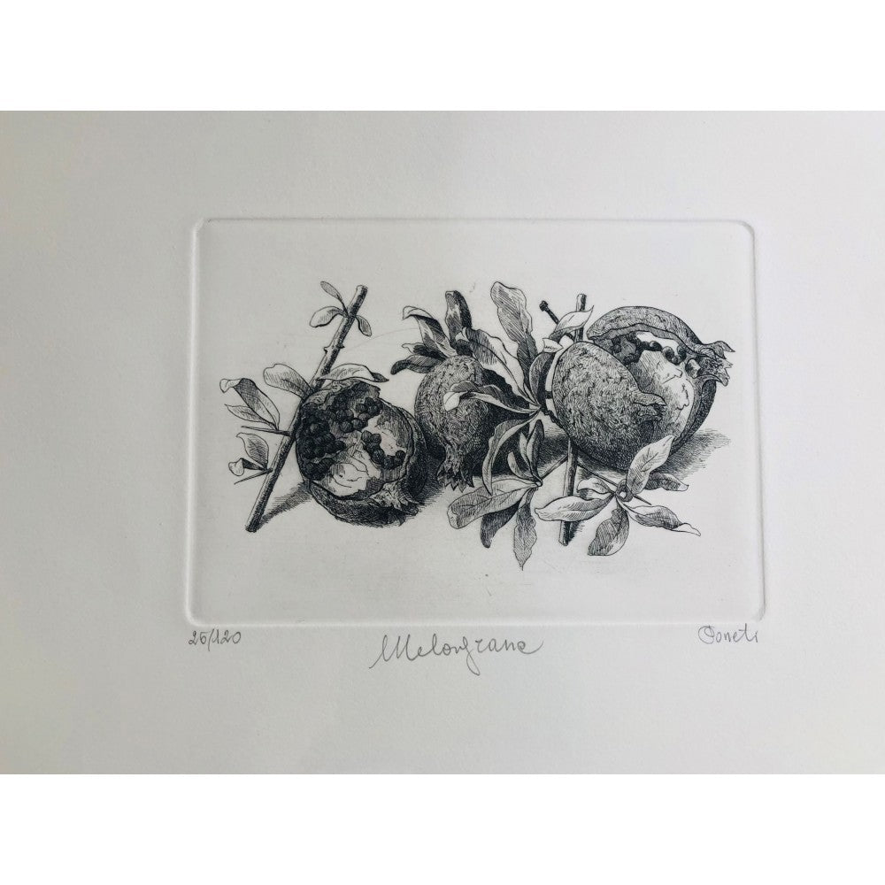 Original Botanical Etching - Pomegranites