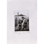Original Italian Etching - Cats in Venice