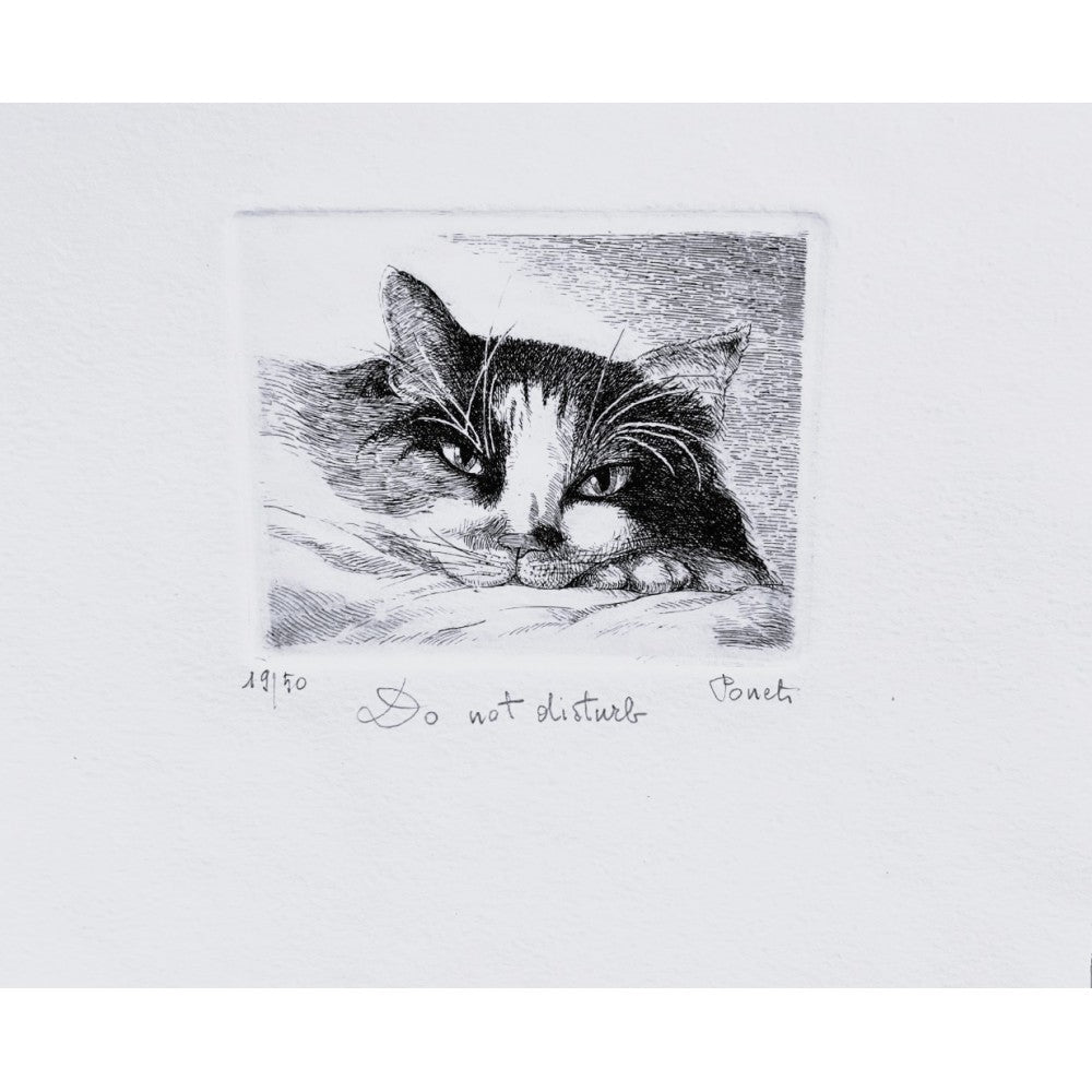 Original Italian Etching - Do not Disturb