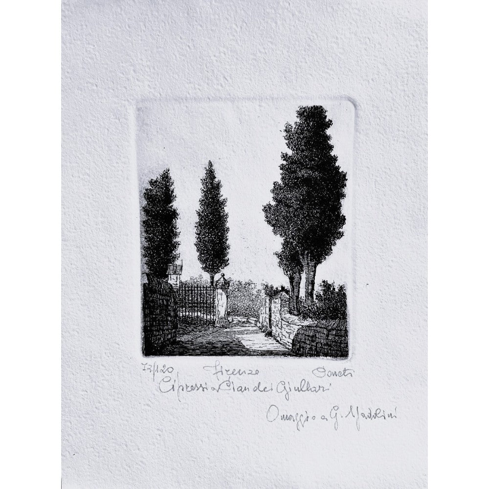 Original Tuscany Etching - Cypress Pines