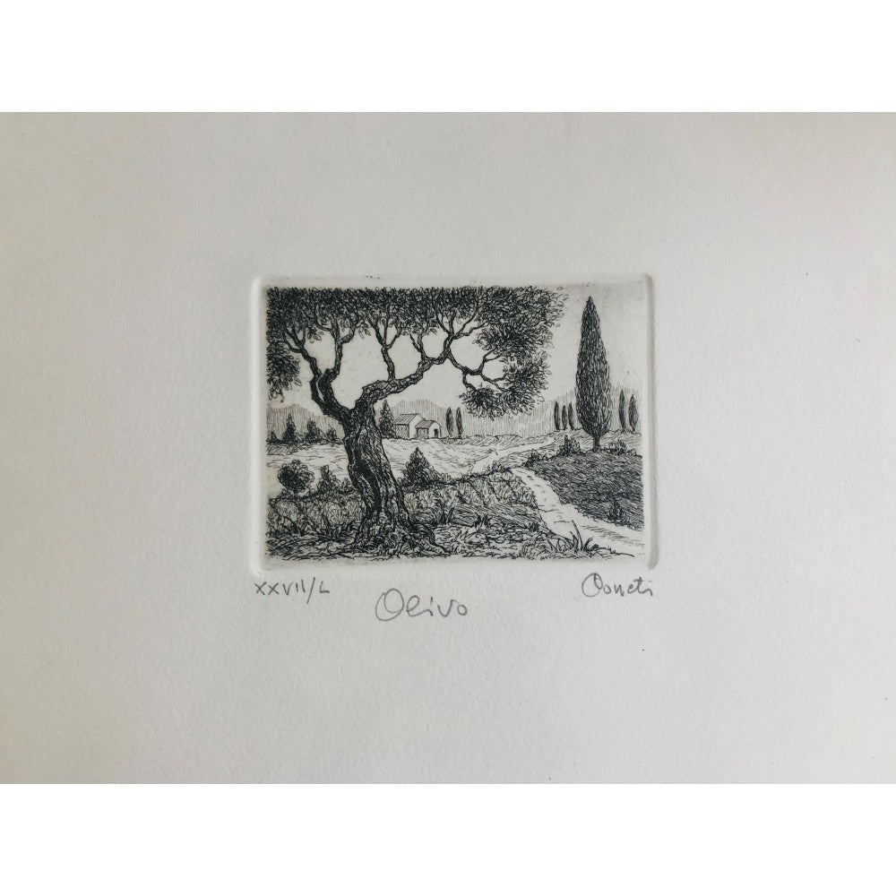 Original Tuscany Etching - Olive Tree