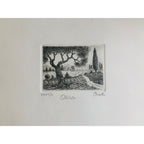 Original Tuscany Etching - Olive Tree